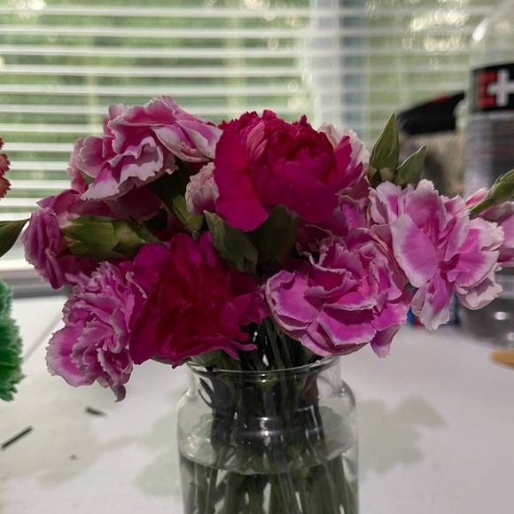 Meet your Posher, Tanyeka - Picture 1 of 1